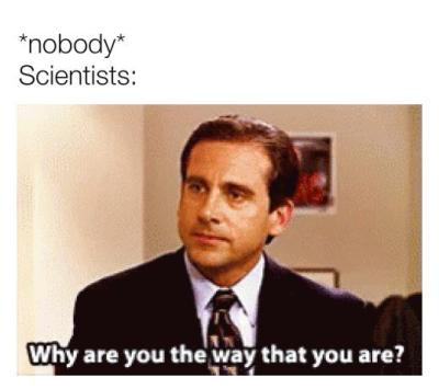 Why are you the way that you are?