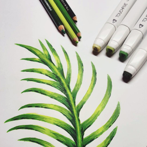 jay-m: Working on something tropical.Some personal work from @jay-m, one of our lead designers. 