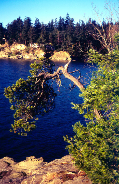 Photography by Visioni ItalianeTechnique: Bencini Koroll + Color slide filmLocation: Larrabee State 