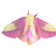 encxladus