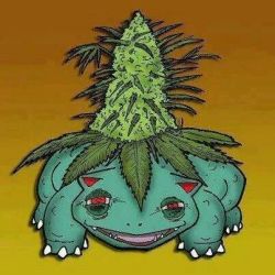 funleaf:  Weed and Pokemon 