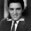 elvis-fitzgerald-presedy