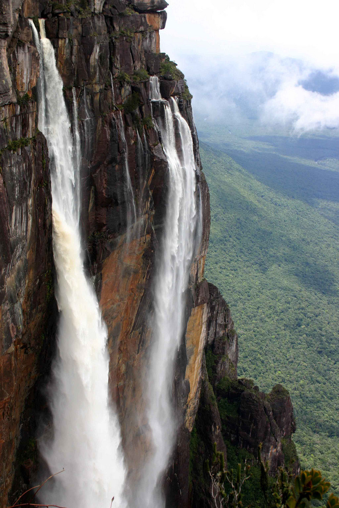 bluepueblo:  Angel Falls, Canaima National Park, Venezuela photo via sofy 