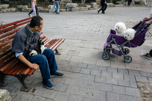 original-photographers: Old People in Parks《公园老人》is a photo essay celebrating the largest demographi