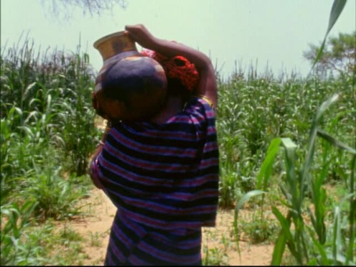 yumenoyouna:Le wazzou polygame (Oumarou Ganda, 1971)