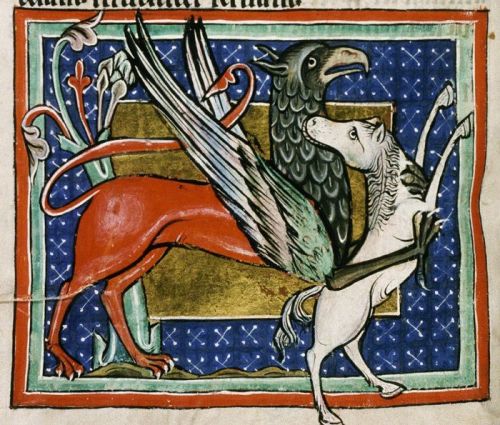medievalengravings: Griffin,  British Library, Harley MS 4751, Folio 7v