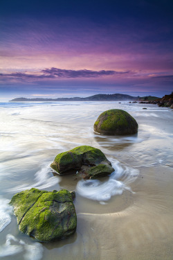 worldwidv:Evolution | Moeraki Boulders, New