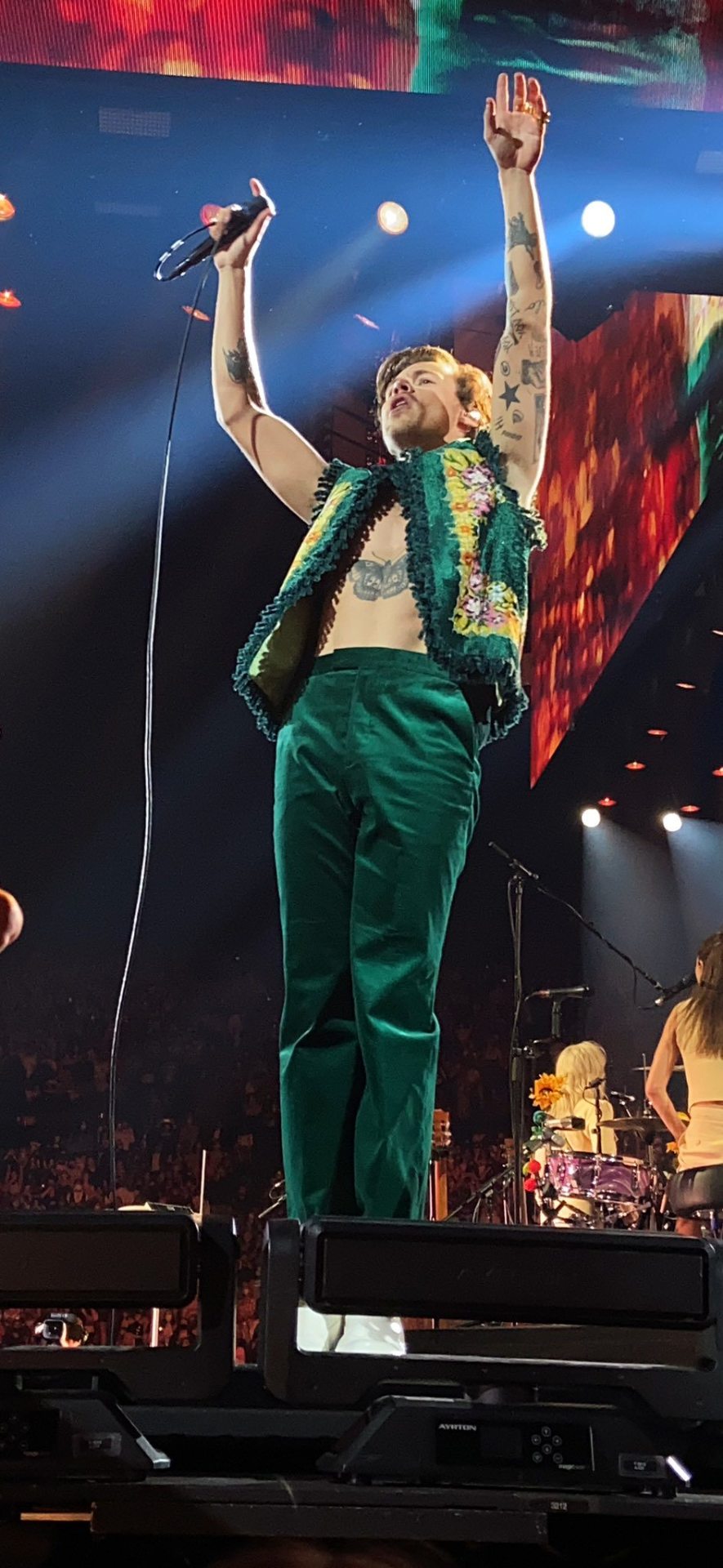 Harry Styles 