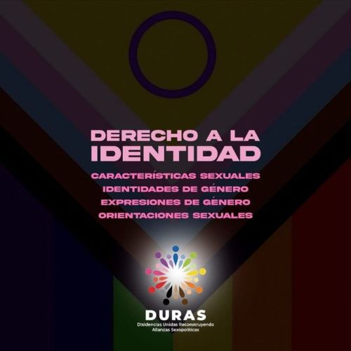 DERECHO A LA IDENTIDAD, INCLUYENDO CARACTERÍSTICAS SEXUALES, IDENTIDADES DE GÉNERO, EXPRESIONES DE G