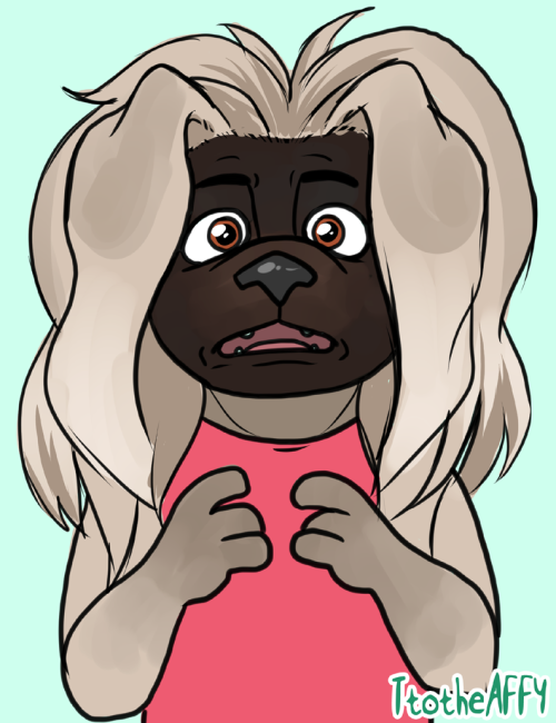ttotheaffy:  I made a Peke Zootopia fursona character. 