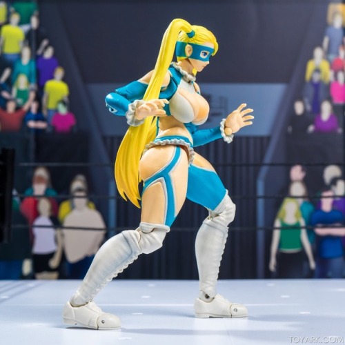 ghostjetshell:S.H. Figuarts | Street Fighter porn pictures