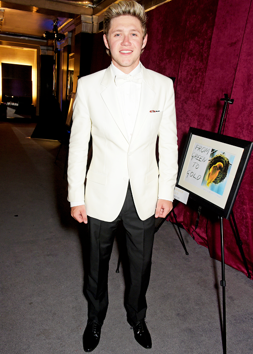 dslakhfdsalkhfsdalhfdsa-deactiv: Niall Horan attends The Great Gatsby Ball in support of Trekstock -