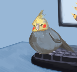 bonkalore:  solarvanilla:here’s a drawing i did of @bonkalore ‘s cockatiel, Birb! he’s sick and needs medical care so please check this post and consider helping them! :&gt; There he is. My boi. ;u;Thank you so much for this~ He’s even got his