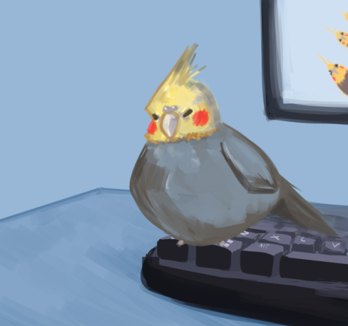 bonkalore:  solarvanilla:here’s a drawing i did of @bonkalore ‘s cockatiel, Birb! he’s sick and needs medical care so please check this post and consider helping them! :> There he is. My boi. ;u;Thank you so much for this~ He’s even got his