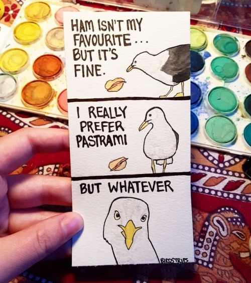 Bird no. 207. Are you trying to tell me something?.I have been ripped off so many times in the last 