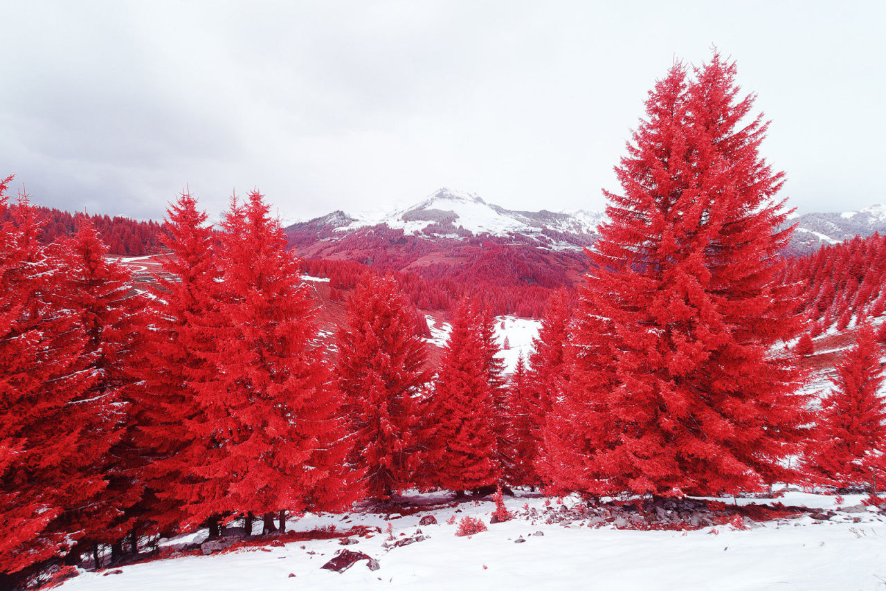 banshy:  Infrared // Pierre-Louis FERRER  