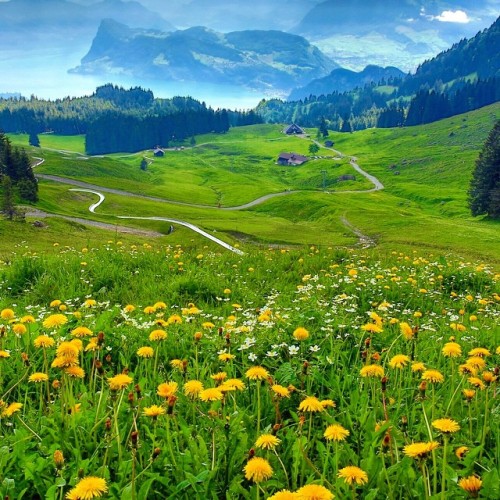 Wander The Backroads