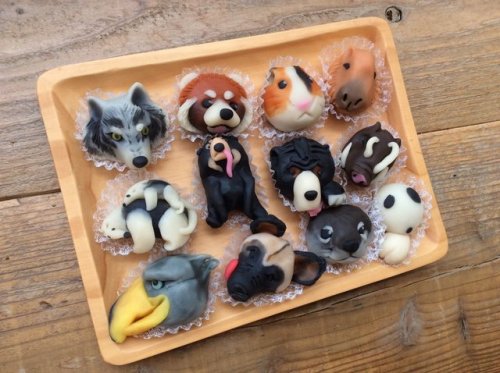 Those animal shape wagashi (japanese cakes) are amazing!!! (seen on Cafe Kirin account)