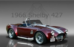 Housewifesecrets:  Promiscuousmind:  Daisiesanddreams78:  Specialcar:  1966 Shelby