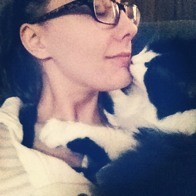 Because. Andy is the best. 💗🐱💗