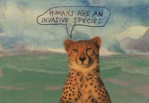 stoicmike: Humans are an invasive species. – Michael Lipsey