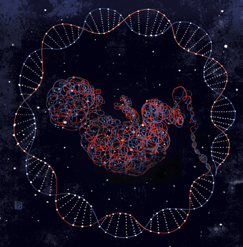 devidsketchbook:Victo Ngai: Unveiling Newborn’s DNA MapVicto Ngai - A piece for the New Y