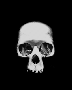 https://69.media.tumblr.com/29a39aba739d03936cf9af8fcd8f11c6/tumblr_mt49e8qHTZ1sb7dawo1_500.gif