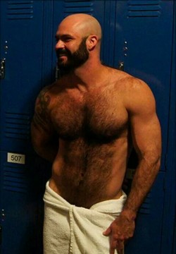 HAIRY BEARS AND SEXY MEN