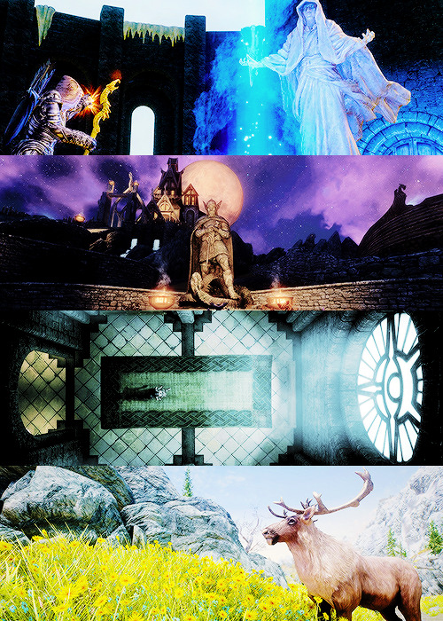 bethesdas:  Skyrim was a vast region set in the northern part of Tamriel. It is