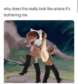 totalariana: This is the funniest thing I’ve