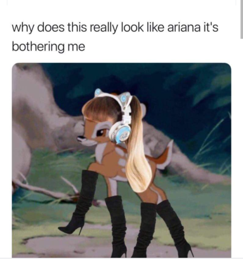 XXX totalariana: This is the funniest thing I’ve photo