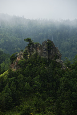 captivesouls:Nature