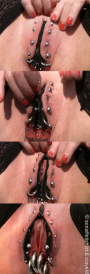 cute-submissive-nyc-universe:  dutch-meesterx: Top… slaveM with her cuntzipper…  Remarkable piercings and chastity options