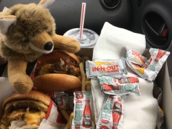 Still out on vacation. I had In N Out.It