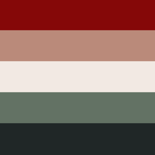 whimsy-flags:Nagito Komaeda Pride Flags!Aromantic | Asexual | BiGay | Genderfluid | LesbianNonbinary