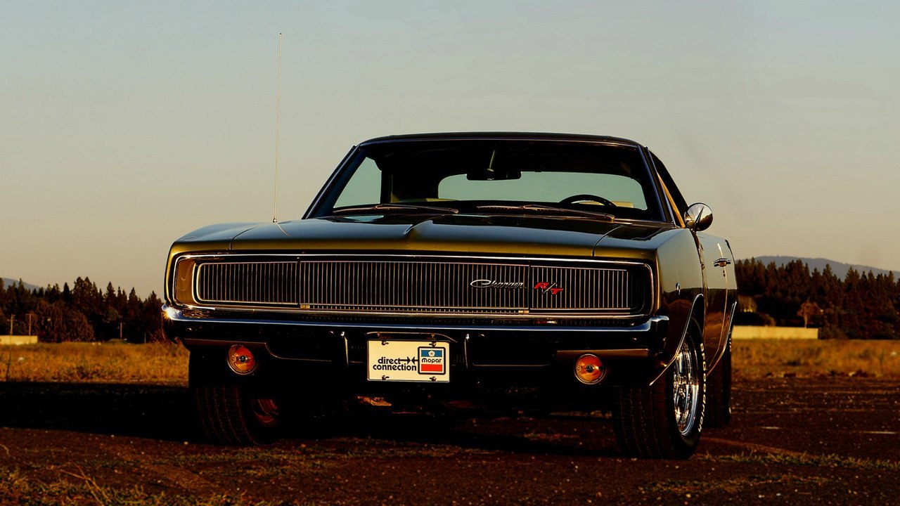 musclecarsfans:  Follow For Muscle Cars Everyday