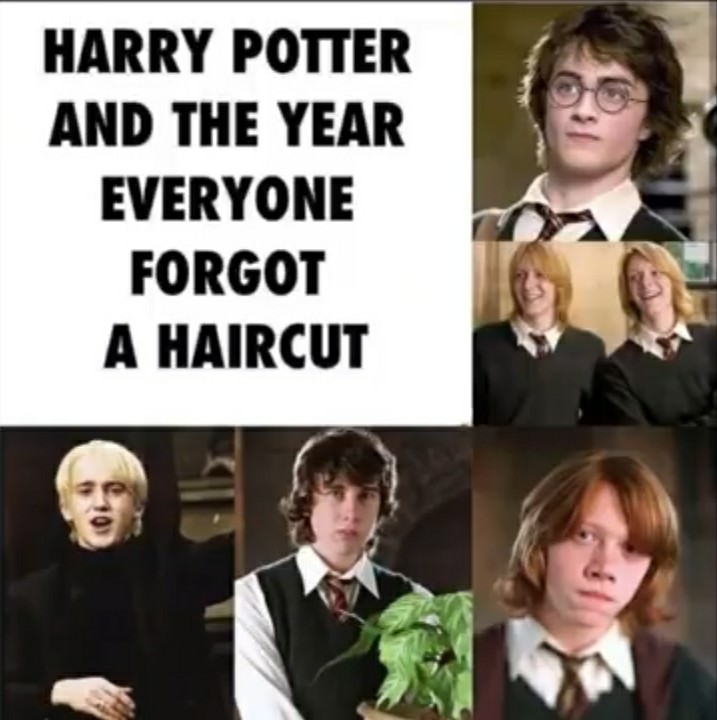 Image tagged with harry potter harry potter memes funny on Tumblr