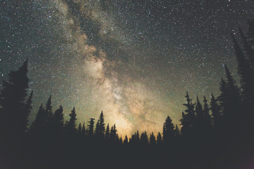 tidalweaves:  thisiswander:  Luke GramBritish Colombia, CanadaCanon 5D Mark II What other parts of the world would you like to visit besides where you live? Hard question. I mean, everywhere really. But more specifically at the top of my list are Africa,