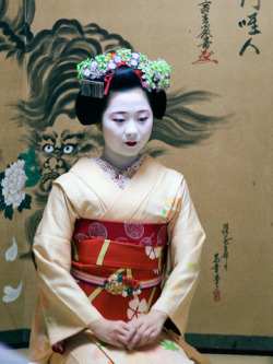 geisha-kai:  Maiko Tanefumi as junior by Kevin Wong on Flickr