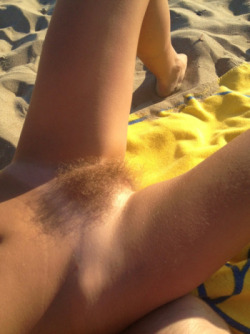 bigsohotpubes:  More Hairy Babes HERE