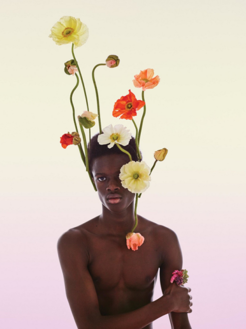 Floral art by Joshua Werber and Roz BorgPhotograph by Gosha Rubchinskiy. Styled by Mel Ottenberg - 