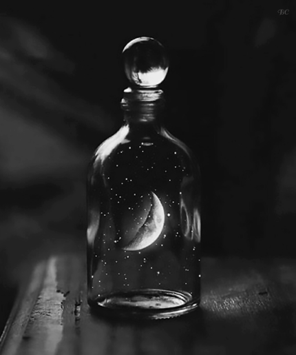 tumblr photo hergreeneyedsir 0