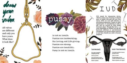 heirloomparasite:mylittleadventures90:this-is-life-actually:Lady Bits is a zine that wants to teach 
