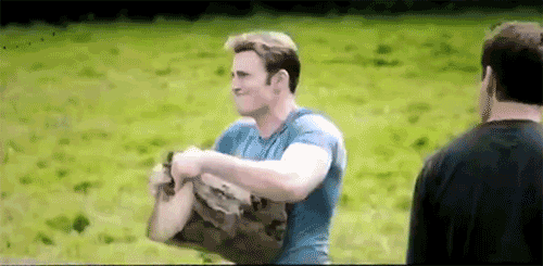 Type the name of your favorite character into the new gif feature and post what you