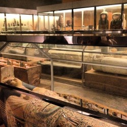jyl0315:  Room full of mummies #themet #egyptology