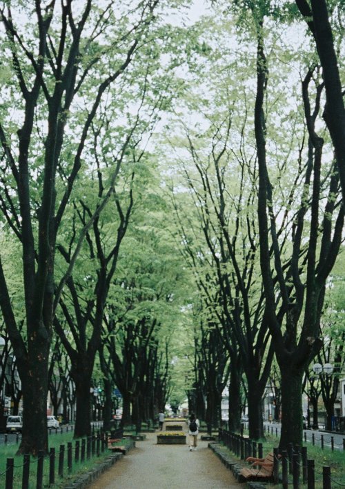 2019年5月1日 令和* 令和の初日は仙台でお友達と待ち合わせ☺︎ 1、2枚目は定禅寺通。「日本の道100選」にも選ばれている道です。 初めて仙台お散歩カメラをした時にも撮ったブロンズ像を久しぶりに