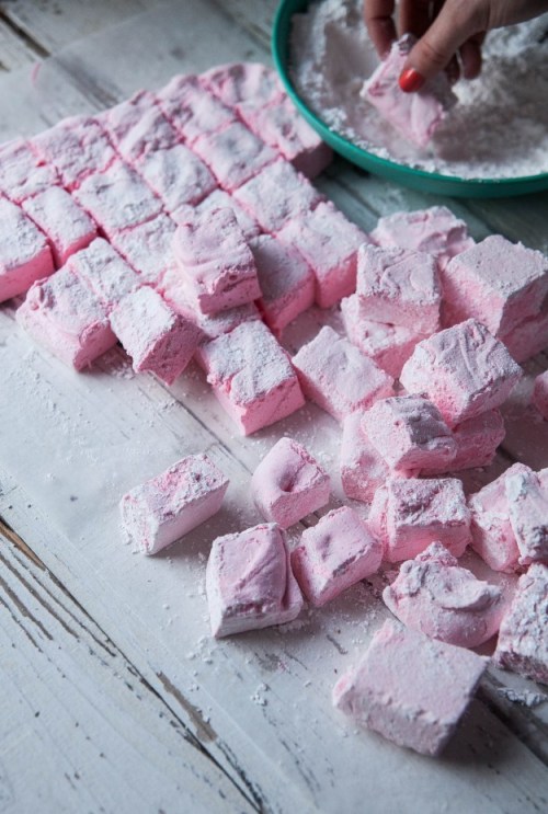 sweetoothgirl:  Rosewater Marshmallows and Cardamom Hot Chocolate  