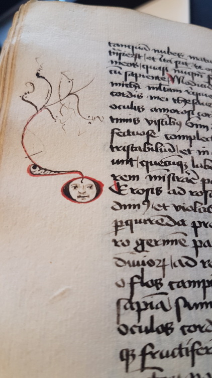 Ms. Codex 709 - Horalogium sapientiaeThis manuscript features the Horologium sapientiae, a myst