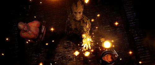 rey-skywalkrz:We are Groot.