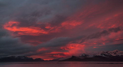 King Edward Point par Oliver PrinceVia Flickr :One of the strongest sunrises I’ve ever enjoyed